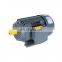 2019 New design high rpm YE2 series cast iron three-phase electric water pump motor 90L-2