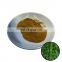 Wholesale plant extract bamboo leaf extract powder bamboo leaf flavonoids