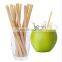 Hot Sale 100% Natural Material Bamboo Straw Eco Disposable Drinking Straw