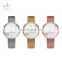 SHENGKE Charm Lady Wristwatch Delicate Wristwatch Stainless Steel Mesh Band Japan Quartz Female Reloj Para Mujer  K0105L