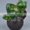 Resin Garden Decorative Lifelike Frog Statue