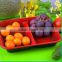 Green Plastic Eco Friendly Customizable With Absorbent Pad PP Frozen Food Tray