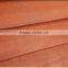 Home Decor Plastic Bamboo Blinds /Chinese Bamboo blind