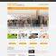 Website Design And Development