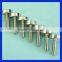 Special Stainless Steel Screw