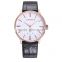 2016 New Brand Luxury Watches women and men Leather nylon Strap new Rose gold quartz watch clock