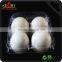 Factory Price wholesale Custom Trasparent Blister Plastic Egg Tray,Transparent PET Blister Egg Tray                        
                                                Quality Choice