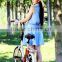 Direct selling speed 28 electric chopper folding bike with 2 person adult seat