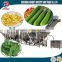 New designed fruit and vegetable processing machines