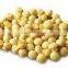 Canned mushroom whole with good quality for sale