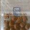 Supply with Chinese Bulk Roasted Apricot Kernels in Shell