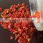 dehydrated tomato