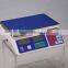 china supplier counting scale /industry counting scale 6kg 15kg 30kg