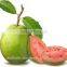 Natural Pink Guava Pulp Supplier