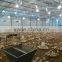 2015 controlled broiler poultry shed design