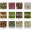 Large Capacity Dried Vegetables Color Sorter Machine