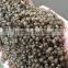 BEST QUALITY-NPK Compound Fertilizer/NPK Complex Fertilizer/NPK Organic Fertilizer And More