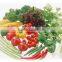 popular liquid amino acid fertilizer