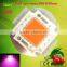 full spectrum cob,30-150w,with multi-chip grow led chip,DC 20-36V voltage