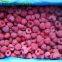 Frozen fruit wholesale grade A/B IQF raspberry
