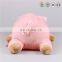 Custom decorative animal pig shaped plush pillow