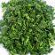 IQF Spinach leaves