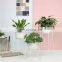 Balcony Self Watered Black Succulent Holder Flower Nordic Indoor Metal Luxury Plant Pot Stand