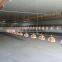 30000 Birds Chicken House A Large Scale Poultry Farm Building with low cost
