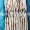 Good quality frozen squid tube skin on wing on