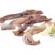 frozen illex squid argentina illex squid