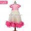 hot-selling Kids Deep Pink flower princess lace party Feather dresses for children