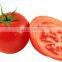 KH Highest Quality Assurance tomato slicer food slicer