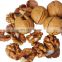Factory outlet premium walnuts and kernels raw walnut  of low price