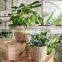 Best Seller Woven Natural Seagrass Flower Pot With Lining Straw Planter Storage Basket Plant Holder Wholesale