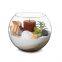 Glass Fish Bowl