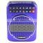 Portable alarm clock amplifier speaker with microphone/mp3