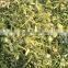 Agricultural Harvester Machine Corn Silage Making Machinery for Sale