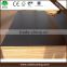 Professional phenolic film faced plywood/factory 18mm brown film faced plywood/good quality waterproof film faced plywood