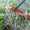 Hot sale Aluminum Tent Stakes Ultralight Y Beam Design with Reflective Pull Cords