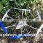 New Arriving! W609-7 4.5CH 6-Axis Metal RC Quadcopter Real-time Transimission FPV Drone