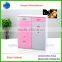 2-doors Shoe Cabinet/ Shoe Rack