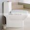 sanitary ware washdown s-trap 250mm Middle East toilet bowl Saudi bathroom design toilet