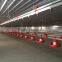 automatic environmental controlled chicken farms construction