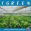 Agricultural PVC hydroponics growing systems