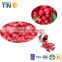 TTN 2016 Bulk Wholesale Freeze Dried Fruit Dried Raspberry