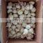 2016 IQF Frozen mixed vegetables(3t types)/deep frozen vegetables