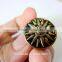 Brush Brass Color Jeans Button