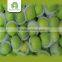 Bulk fresh green qinguan apple from China