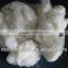 sheep cashmere 23.5mic & 30-50mm, natural white color