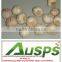 Wholesale natural fresh white garlic with nice service